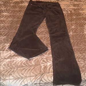 Big Star Women's Dark Brown Flare Jeans